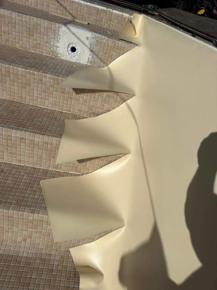 888ee66c 7c83 4bb9 9990 d00b57c3556d